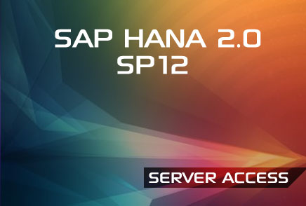 HANA ACCESS